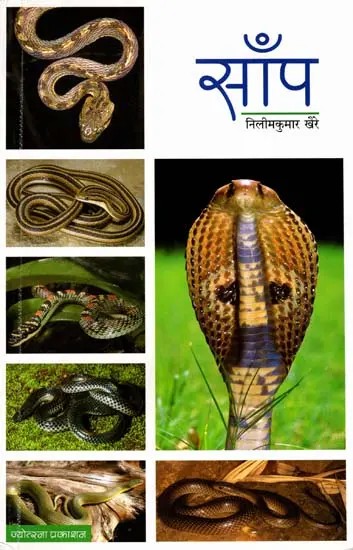 साँप: Snake