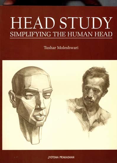 Head Study (Simplifying the Human Head)