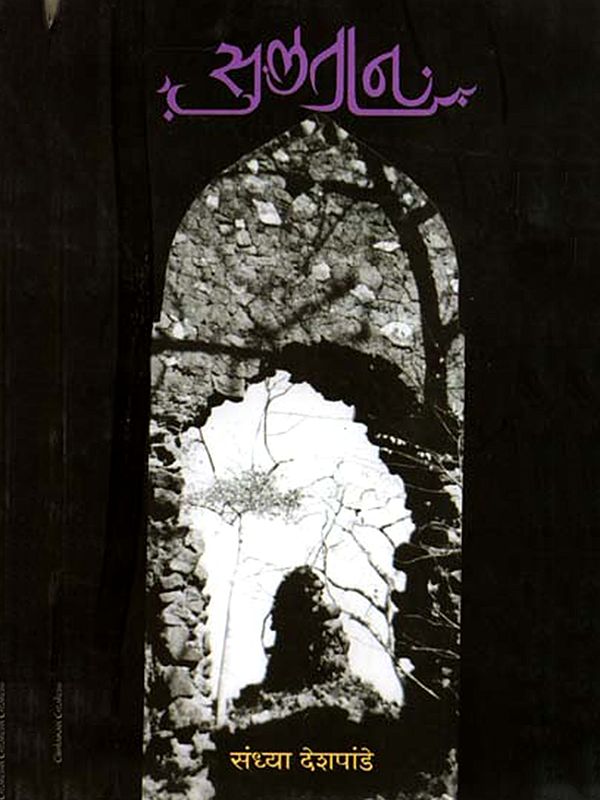 सुलतान: Sultan (Marathi)