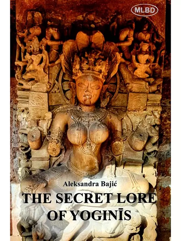 The Secret Lore of Yoginis- Astronomical Knowledge Woven into the Teachings of Tantra