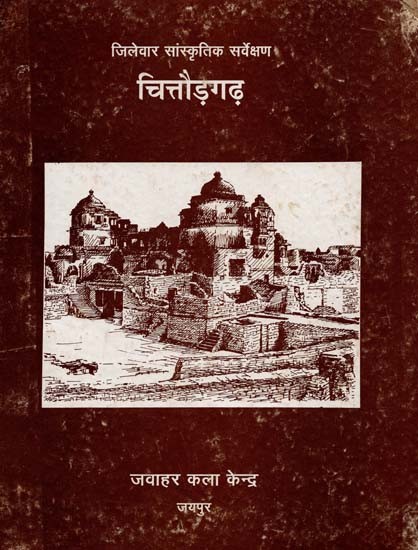 जिलेवार सांस्कृतिक सर्वेक्षण चित्तौड़गढ़: District Wise Cultural Survey Chittorgarh
