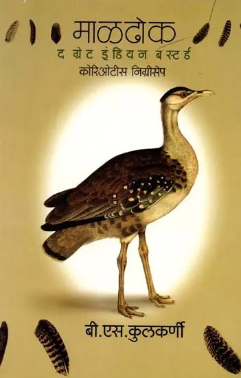 माळढोक: द ग्रेट इंडियन बस्टर्ड कोरिओटीस निग्रीसेप: The Great Indian Bustard Coryotis Nigriceps (Marathi)