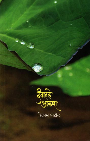 देवातले आकाश: Devatale Akasha (Marathi)