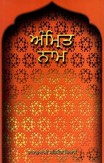 ਅੰਮ੍ਰਿਤ ਨਾਮ: Amrit Nam (Punjabi)