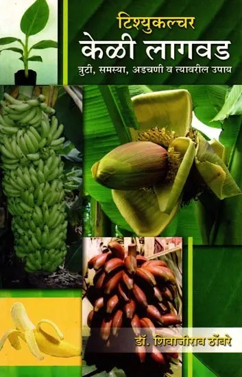 टिश्युकल्चर केळी लागवड (त्रुटी, समस्या, अडचणी व त्यावरील उपाय): Tissuculture Keli Lagwad (Truti, Samasya, Adchani va Tyavaril Upay) - Marathi