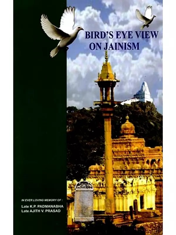 Bird's Eye View on Jainism