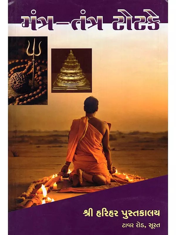 મંત્ર-તંત્ર ટોટકે: Mantra-Tantra Totake (Gujarati)
