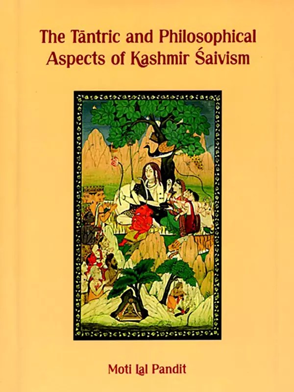 The Tantric and Philosophical Aspects of Kashmir Saivism