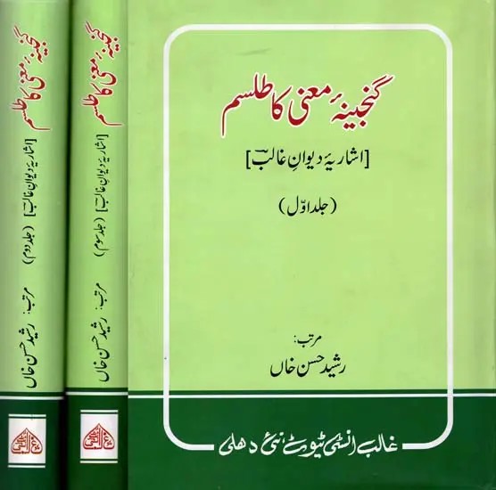 شاریہ دیوان غالب گنجینۂ معنی کا طلسم: Ganjeena-E-Maani Ka Tilism in Urdu (Set of 3 Volumes)