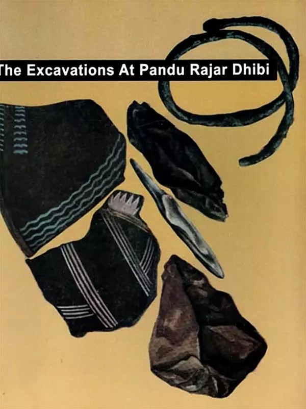 The Excavations at Pandu Rajar Dhibi