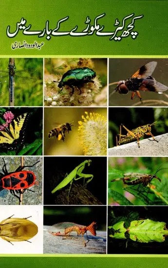 کچھ کیڑے مکوڑے کے بارے میں: Kuchh... Kide Makode Ke Baare Mein