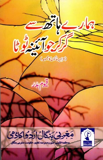 ہمارے ہاتھ سے گر کر جو آئینہ ٹوٹا: Hamare Hath Se Gir Kar Jo Ayena Tuta (Collection of Comic Sketches)