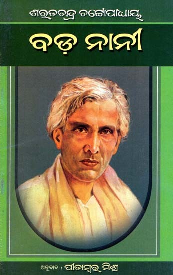 ବଡ଼ନାନୀ: Badanani in Oriya (Novel)