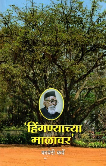 हिंगण्याच्या माळावर: Hinganyacya Malavara (Marathi)