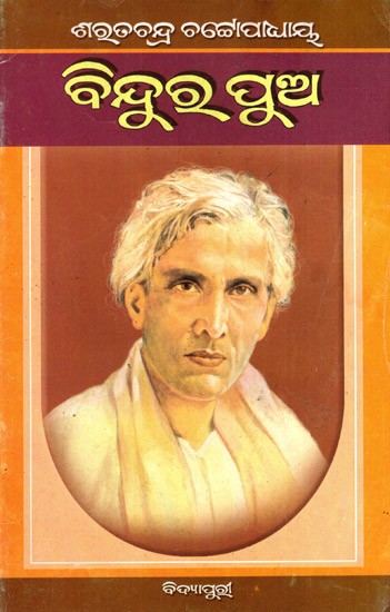 ବିନ୍ଦୁର ପୁଅ: Bindura Pua in Oriya (Novel)