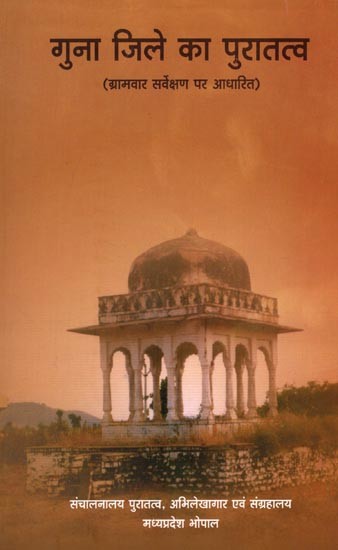 गुना जिले का पुरातत्व (ग्रामवार सर्वेक्षण पर आधारित): Archaeology of Guna District (Based on Village Wise Survey)