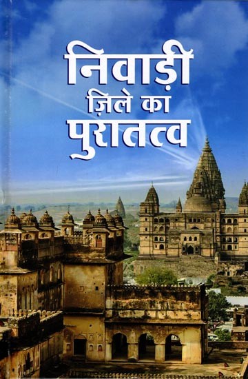 निवाड़ी जिले का पुरातत्व (ग्रामवार पुरातत्वीय सर्वेक्षण के आधार पर): Archaeology of Niwari District (Based on Village Wise Archaeological Survey)