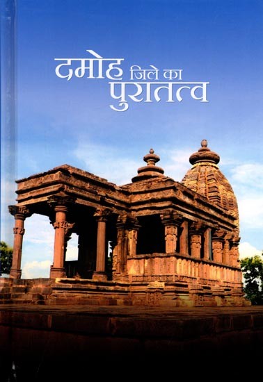 दमोह जिले का पुरातत्व (ग्रामवार सर्वेक्षण पर आधारित): Archaeology of Damoh District (Based on Village Wise Survey)
