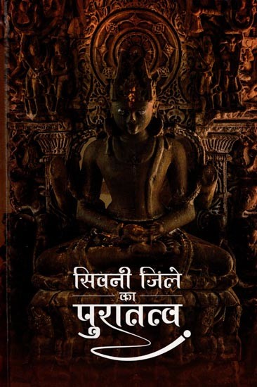 सिवनी जिले का पुरातत्व (ग्रामवार पुरातत्वीय सर्वेक्षण के आधार पर): Archaeology of Seoni District (Based on Village Wise Archaeological Survey)