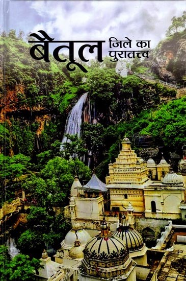 बैतूल जिले का पुरातत्त्व (सर्वेक्षण प्रतिवेदन के आधार पर): Archaeology of Betul District (Based on Survey Report)