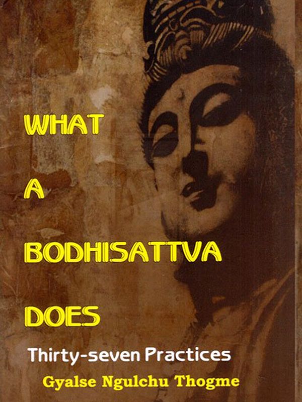 What a Bodhisattva Does- Thirty-Seven Practices