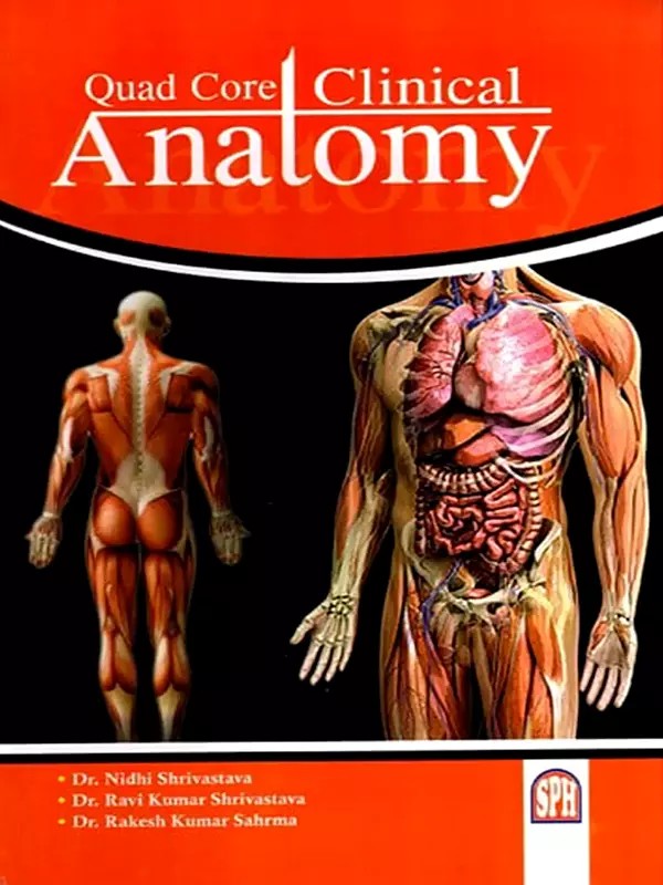 Quad Core Clinical Anatomy