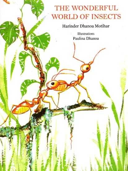 The Wonderful World of Insects (Children Stories)