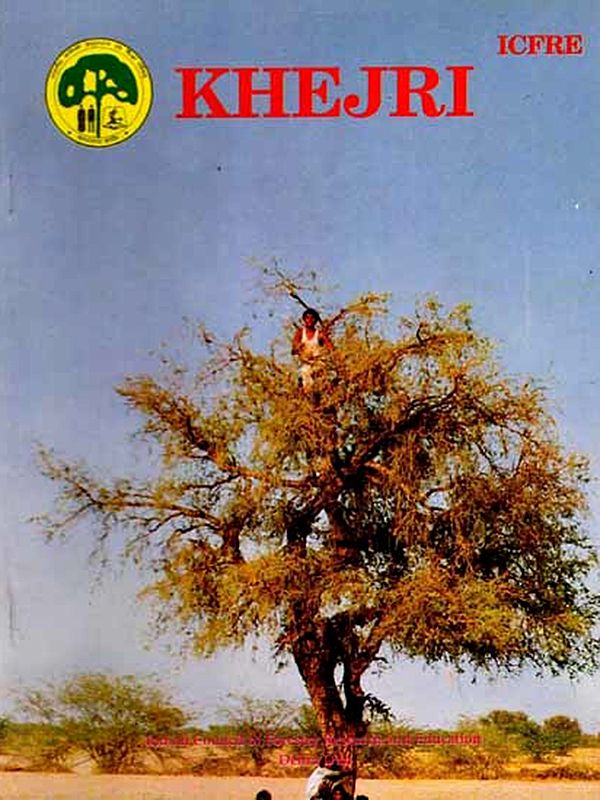 Khejri (Prosopis Cineraria)