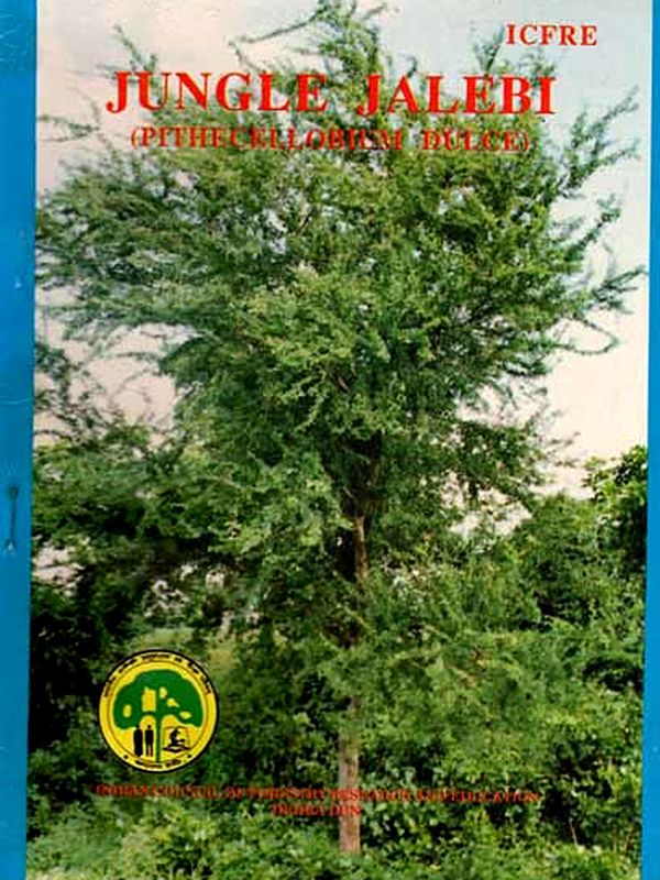 Jungle Jalebi (Pithecellorant Duece)