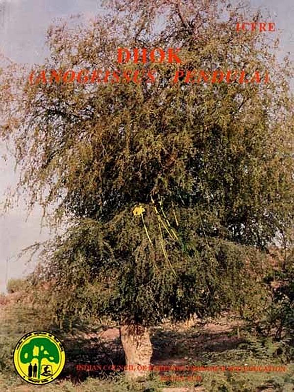 Dhok (Anogeissus Pendula)