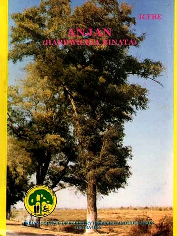 Anjan (Hardwickia Binata)