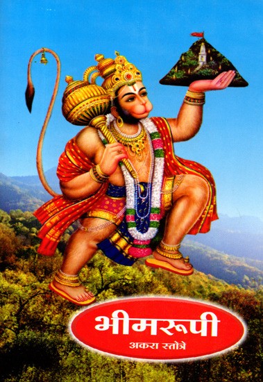 श्री भीमरूपी स्तोत्रे अकरा स्तोत्रे: Eleven Hymns in the Form of Shri Bhima (Marathi)