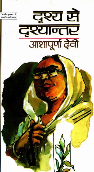 दृश्य से दृश्यान्तर: Drishya Se Drishyantar (Hindi Novel)