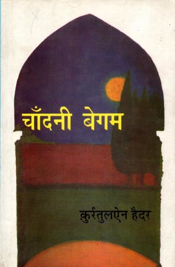 चाँदनी बेगम: Chandni Begum (Hindi Novel)