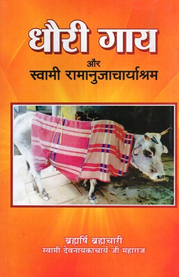 धौरी गाय और स्वामी रामानुजाचार्याश्रम- Dhauri Gay Aur Swami Ramanujacharyashram
