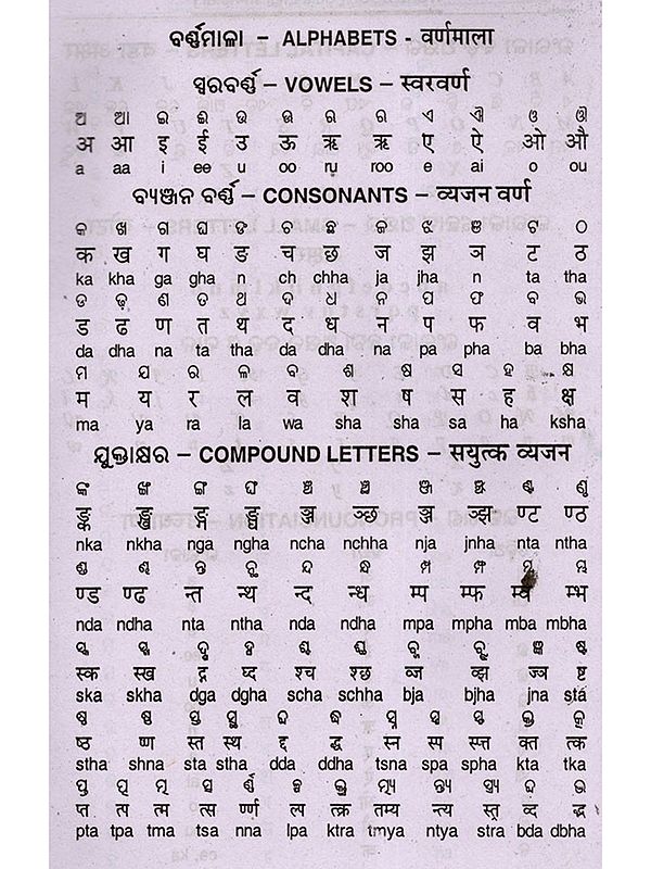 Students Tri-Lingual Word Book (Odia- English- Hindi) Exotic