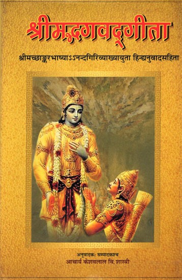 श्रीमद्भगवद्गीता: Srimad Bhagavad Gita (The Hindi Translation of Sankarabhasya and Anandagiri Vyakhya)