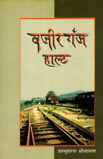 वजीरगंज हाल्ट: Wazirganj Halt (Social Novel)