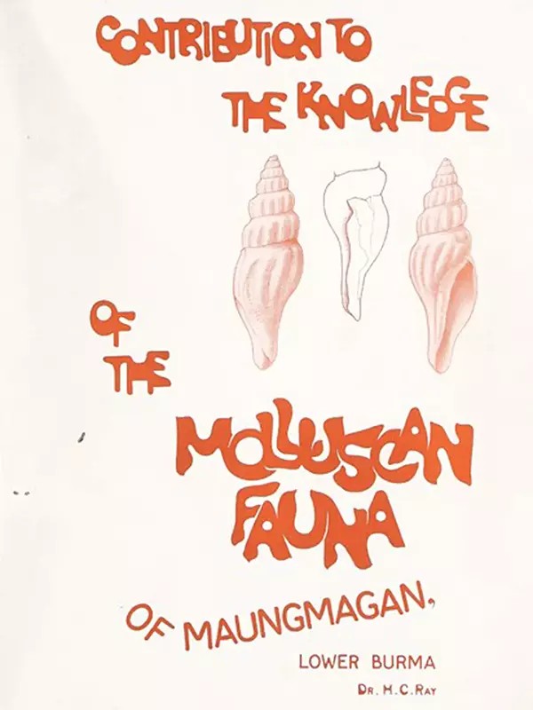 Contribution to the Knowledge of the Molluscan Fauna of Maungmagan, Lower Burma