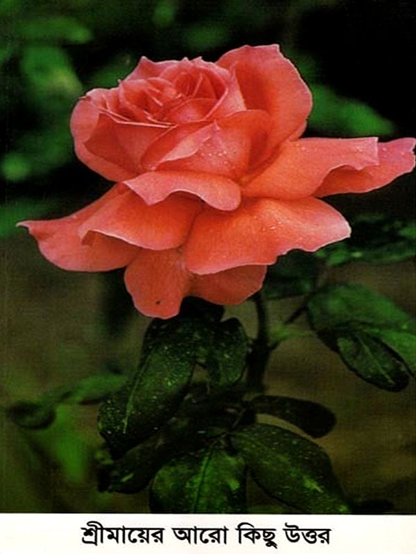 শ্রীমায়ের রচনাসংগ্রহ-জন্মশতবার্ষিকী সংস্করণ: Shrimayi's Collection of Works - Birth Centenary Edition (Volume-17 in Bengali)