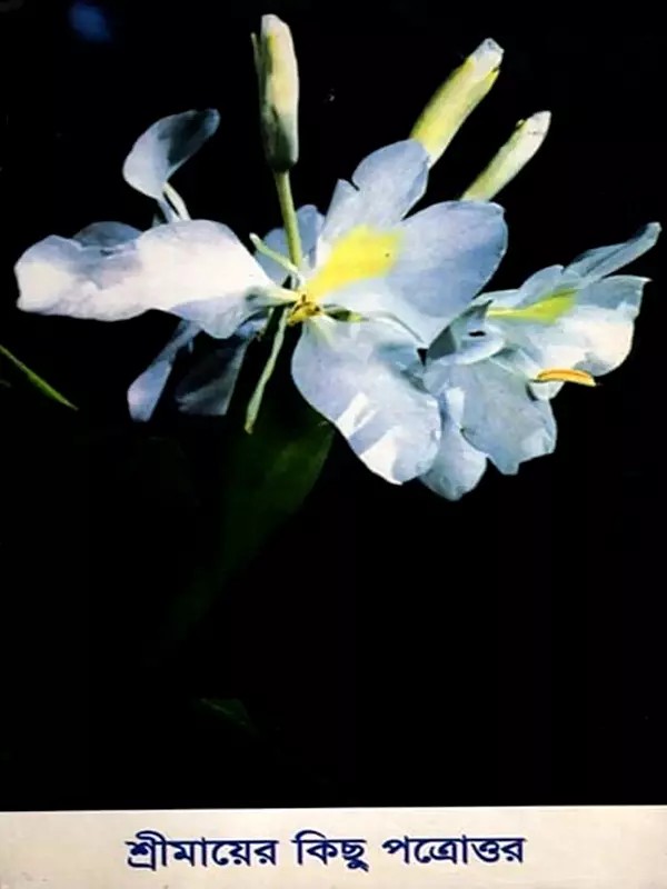 শ্রীমায়ের রচনাসংগ্রহ-জন্মশতবার্ষিকী সংস্করণ: Shrimayi's Collection of Works - Birth Centenary Edition (Volume-16 in Bengali) An Old and Rare Book