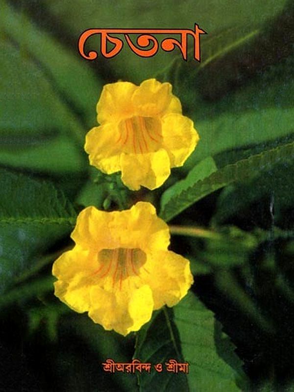 চেতনা: Consciousness (Bengali)