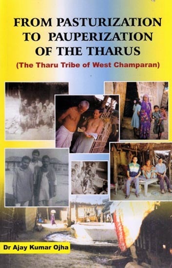 From Pasturization to Pauperization of the Tharus (The Tharu Tribe of West Champaran)