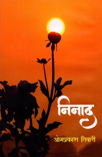 निनाद (उपन्यास): Ninad (Novel)