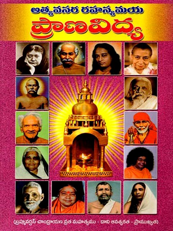 ఓ అత్యవసర రహస్యమయ ప్రాణవిద్య (7వ భాగము): O Atyavasara Rahasyamaya Pranavidya (7Va Bhagamu in Telugu)