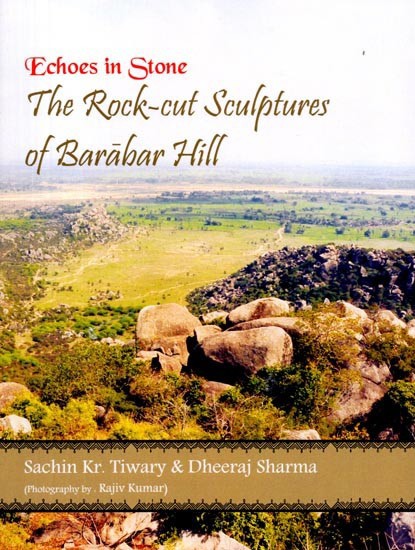 Echoes in Stone: The Rock-Cut Sculptures of Barabar Hill