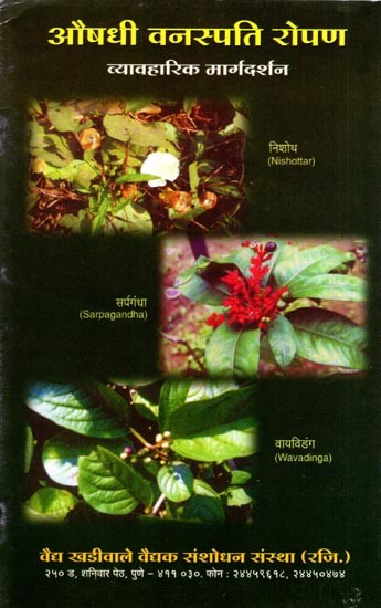 औषधी वनस्पति रोपण- व्यावहारिक मार्गदर्शन: Planting Medicinal Plants- Practical Guidance