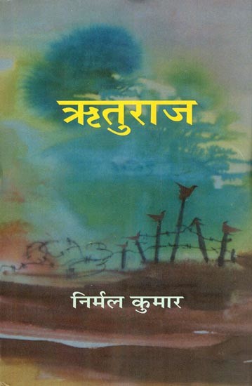ऋतुराज- Rituraj (Novel)