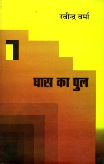 घास का पुल: Ghaas Ka Pul (Novel)