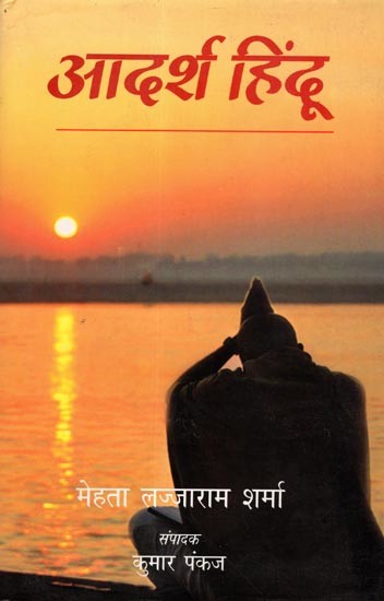 आदर्श हिंदू: The Ideal Hindu (Novel)